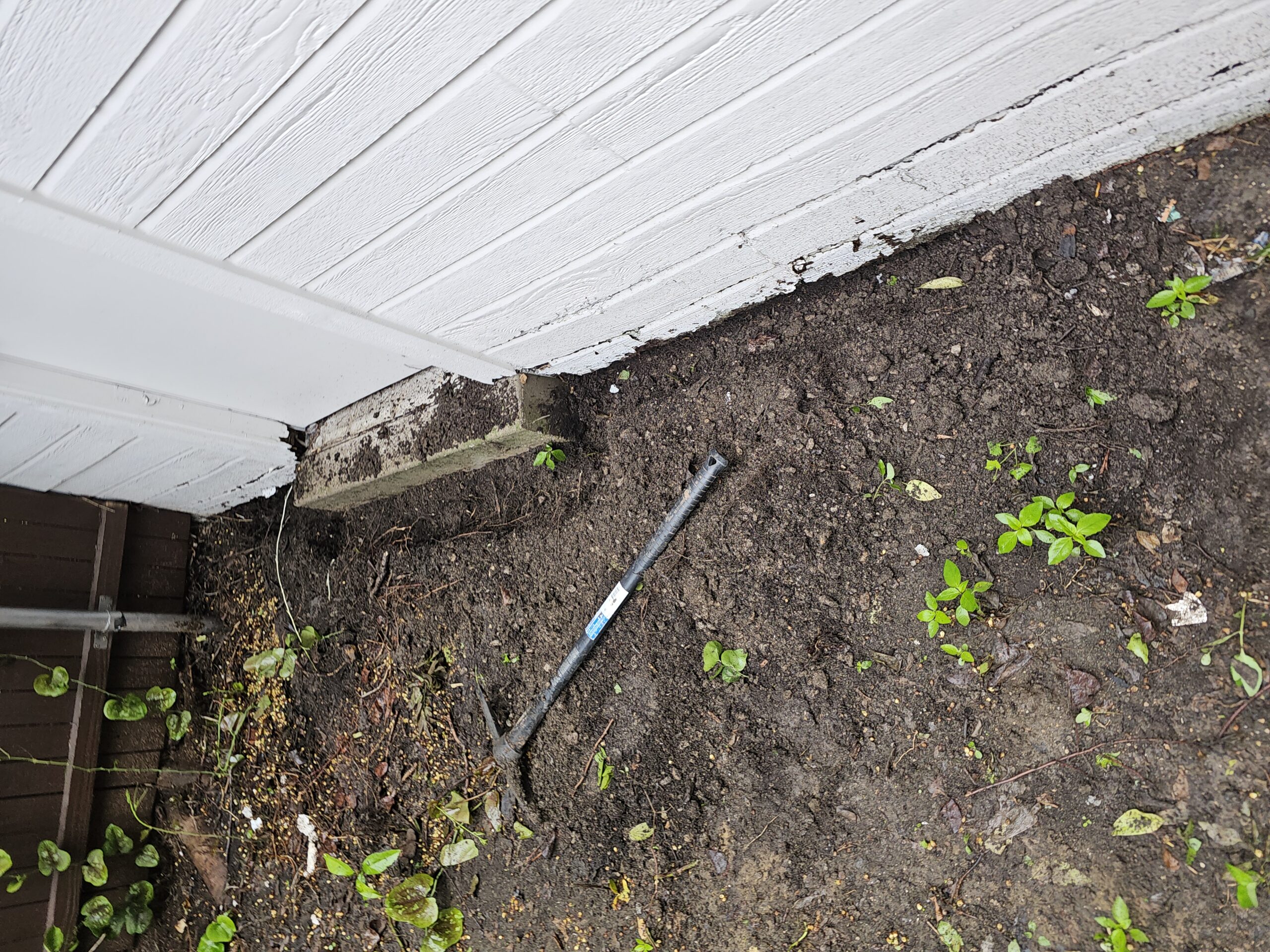 Bug protection in Dallas by Pinnacle Pest Protection