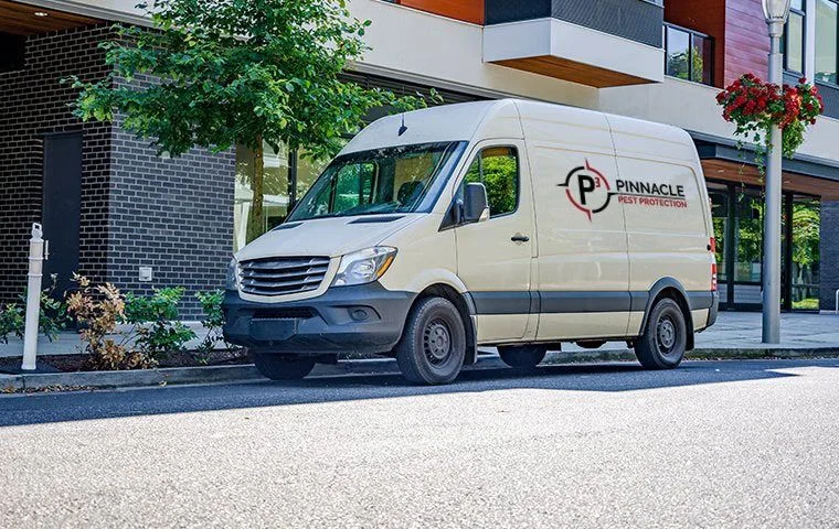Commercial Pest Control for Local Businesses